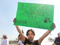 El grupo de personas defensoras de los animales, llegó al sitio alrededor de las 11:30 horas.  /