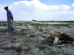 Desde mayo del año pasado se previó la llegada de una sequía prolongada, según la Secretaría.  /