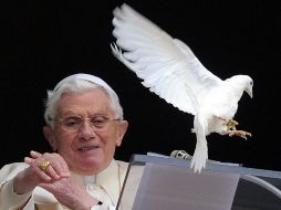 El Papa Benedicto libera hoy en el Vaticano una paloma, símbolo de la paz. AFP  /