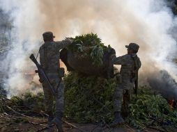 Soldados queman hoy plantas de mariguana en un campo en Sinaloa. AFP  /