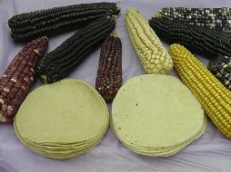 Además de las ventajas nutritivas y de conservación, la nueva tortilla costaría lo mismo que el producto actual. EFE  /