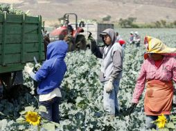 Existen mil 695 núcleos agrarios pendientes de incorporar al FANAR, pero 460 es por el propio rechazo de los ejidatarios. ARCHIVO  /