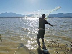 La contaminación en la Laguna de Zapotlán provoca que actividades como la pesca estén en riesgo para los habitantes de la zona.  /