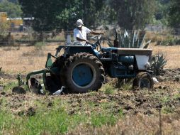 Hace una semana se formalizó la bolsa de 34 mil MDP para enfrentar los efectos de la sequía en 19 estados de la República.  /