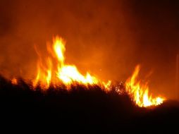 En especial marzó es el mes con mayor riesgo en incendios forestales, por lo que se suspenderán quemas agrícolas. ARCHIVO  /