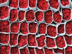 Los enamorados en Arabia Saudí, no podrán dar ni recibir flores rojas. AFP  /