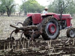 La región de los Altos Norte, ha tenido severos problemas de sequías, en los municipios de Teocaltiche y Lagos. ARCHIVO  /