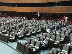 La ley se aprobó en la Cámara de Diputados en lo general y por unanimidad. NTX  /