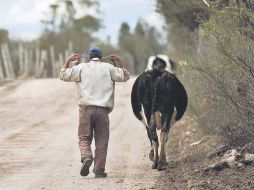 Unión de San Antonio es el municipio con mayor pobreza alimentaria en Jalisco.  /