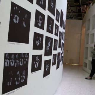 12 años dejando huella