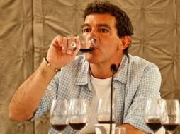 Su afición por el vino empezó hace ya tiempo, pero que se ''agudizó'' cuando abandonó España. EFE  /