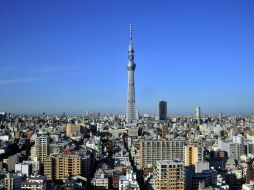 Seiscientos treinta y cuatro metros de altura, para los amantes de las megaestructuras. AFP  /