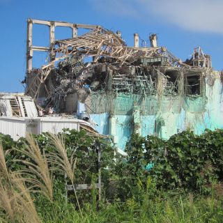 El Japón pos-Fukushima desconfía cada vez más de lo nuclear