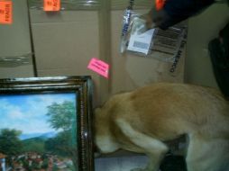 La droga quedó a disposición del fiscal Federal, quien continúa con la integración de la averiguación previa. ESPECIAL  /