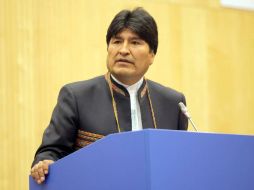 Bolivia es el tercer productor de hoja de coca después de Colombia y Perú. AFP  /