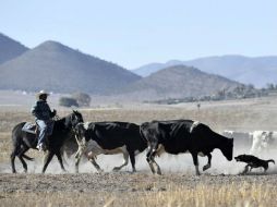 Los programas tienen fechas de vencimiento para el acceso a los recursos. ARCHIVO  /