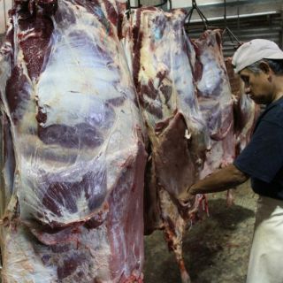 Sagarpa prevé cerrar el año con 40 plantas Tipo Inspección Federal