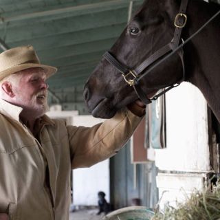 Cancelan serie de televisión con Dustin Hoffman tras muerte de caballos