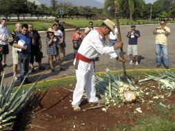 Todos los días habrá espectáculos gratuitos. ARCHIVO  /