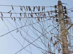 La CFE detalló que en DF más de 400 grandes usuarios deberán cambiar sus redes eléctricas. ARCHIVO  /