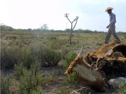 La sequía también ha afectado duramente a México. ARCHIVO  /