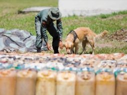 Hay concidencia en consolidar estrategias regionales para el combate del consumo y tráfico de drogas. ARCHIVO  /