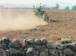 Debido al escaso temporal de 2011, 20% de los municipios jaliscienses sufren la falta de agua.  /