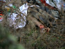 Los feminicidios han aumentado en lugares como Ciudad Juárez. ARCHIVO  /