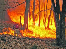 Personal de Bomberos y Protección Civil de Zapopan intentan sofocar el fuego.  /