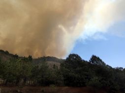 La mayoría de la gente sondeada ni siquiera sabía que podían llevar agua embotellada a puntos estratégicos parta apoyar a brigadistas.  /