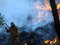 Un bombero labora hoy en la zona del incendio. Se han sumado 250 brigadistas para combatir el fuego. AFP  /
