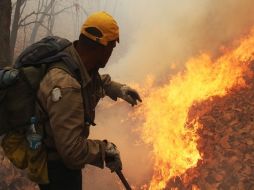 A 48 horas de haber iniciado el incendio, decenas de brigadistas continúan combatiendo las llamas. AFP  /