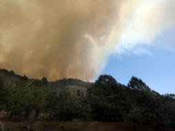 La Conafor confirma que el lugar de la nueva deflagración se halla distante a los focos principales. ARCHIVO  /