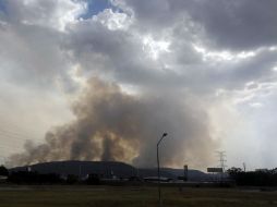 Con sistemas GPS se ha detectado el número de hectáreas dañadas.  /