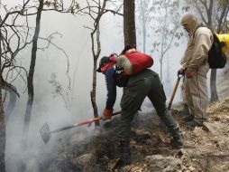 La Secretaría de Desarrollo Rural informa que se requieren entre ocho y 10 brigadas más para hacer frente al fuego.  /