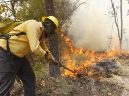 Se han canalizado a la Cruz Verde Las Águilas algunos brigadistas que han sufrido incidentes menores.  /