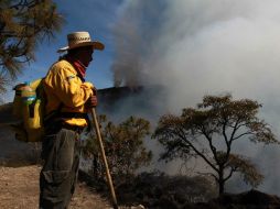 En el lugar, hay seis helicópteros federales participando en el combate y más de 300 brigadistas.  /
