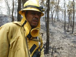 Las autoridades han señalado que el incendio se produjo en un basurero clandestino en el municipio de Zapopan.  /