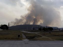 Este tipo de afectaciones ambientales producen alteraciones sistémicas después de algunos meses.  /