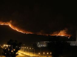 La Conafor informa que hasta hoy se han consumido cuatro mil de las 35 mil hectáreas del bosque.  /