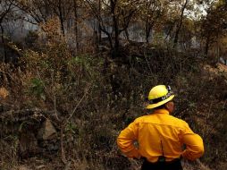 Las autoridades informaron que el incendio en La Primavera está controlado casi en su totalidad.  /