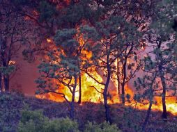 Otro incendio forestal se combate en la comunidad de Merced del Protero, también en la región de la Costa de Oaxaca. NOTIMEX  /