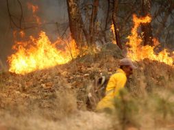 La multa económica propuesta sería de cinco mil a 15 mil días de salario mínimo. ARCHIVO  /