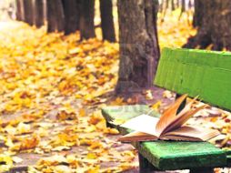 Leer significa leer libros y, por ello, el joven lector se considera una especie en peligro de extinción.ESPECIAL  /