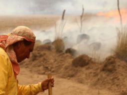El municipio que más afectaciones presenta es Zapopan, luego del incendio ocurrido en el Bosque La Primavera. ARCHIVO  /