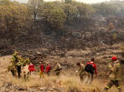 Investigadores convocan a todos los sectores a unir esfuerzos con respecto al siniestro en La Primavera. ARCHIVO  /