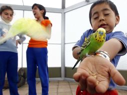 El Presidente Felipe Calderón Hinojosa felicitó hoy a los niños en su día. NOTIMEX  /