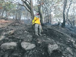 Ayer hubo fuego entre el Fraccionamiento Bugambilias y El Fortín. Lo controlaron en unas horas.  /
