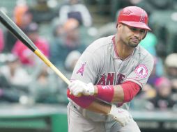 El primera base dominicano de los Angelinos, Albert Pujols se ha ponchado en 14 ocasiones esta temporada. GETTY IMAGES SPORT  /
