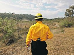 Pasado el incendio que consumió más de ocho mil hectáreas de La Primavera, toma fuerza la idea de que el bosque sea expropiado.  /